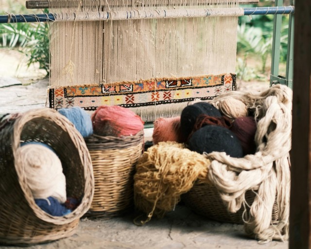 Behind the Scenes: Sheep Shearing