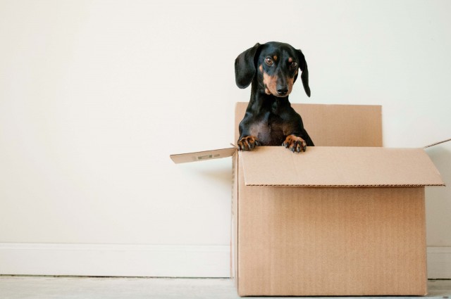 How Do You Pack Moroccan Rugs When Moving Out?