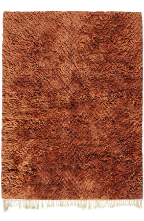 Burnt Ochre 5473