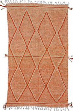 Contemporary Orange Rug 1048