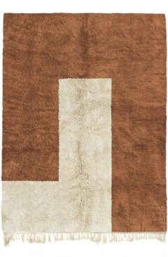 Brown Snake 3975