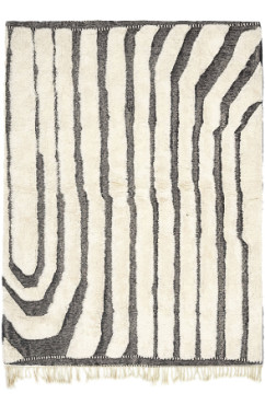 Zebra Abstract 5457