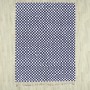 Blue Checkered Rug 1981
